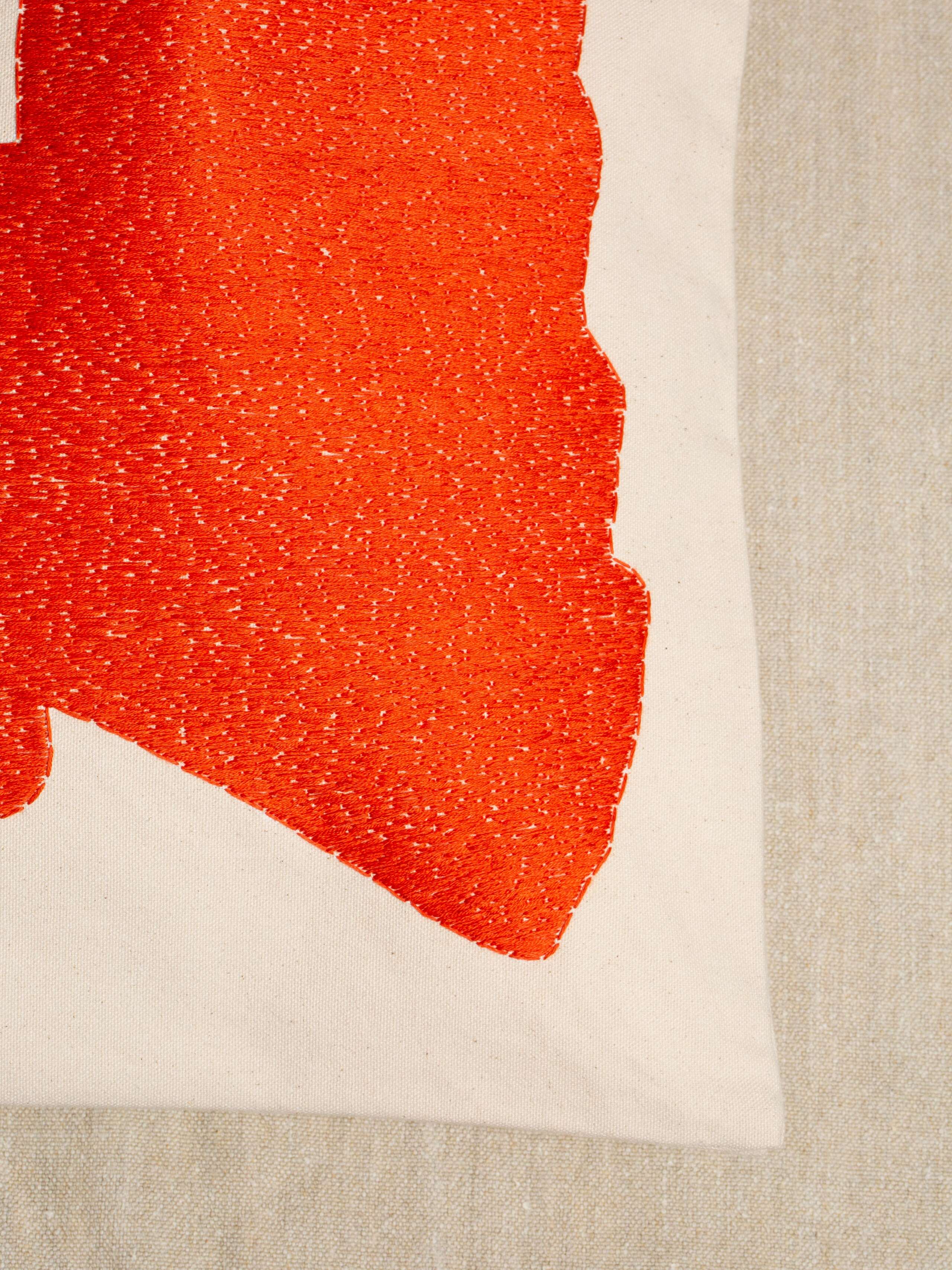 Abstract embroidery pillow covers