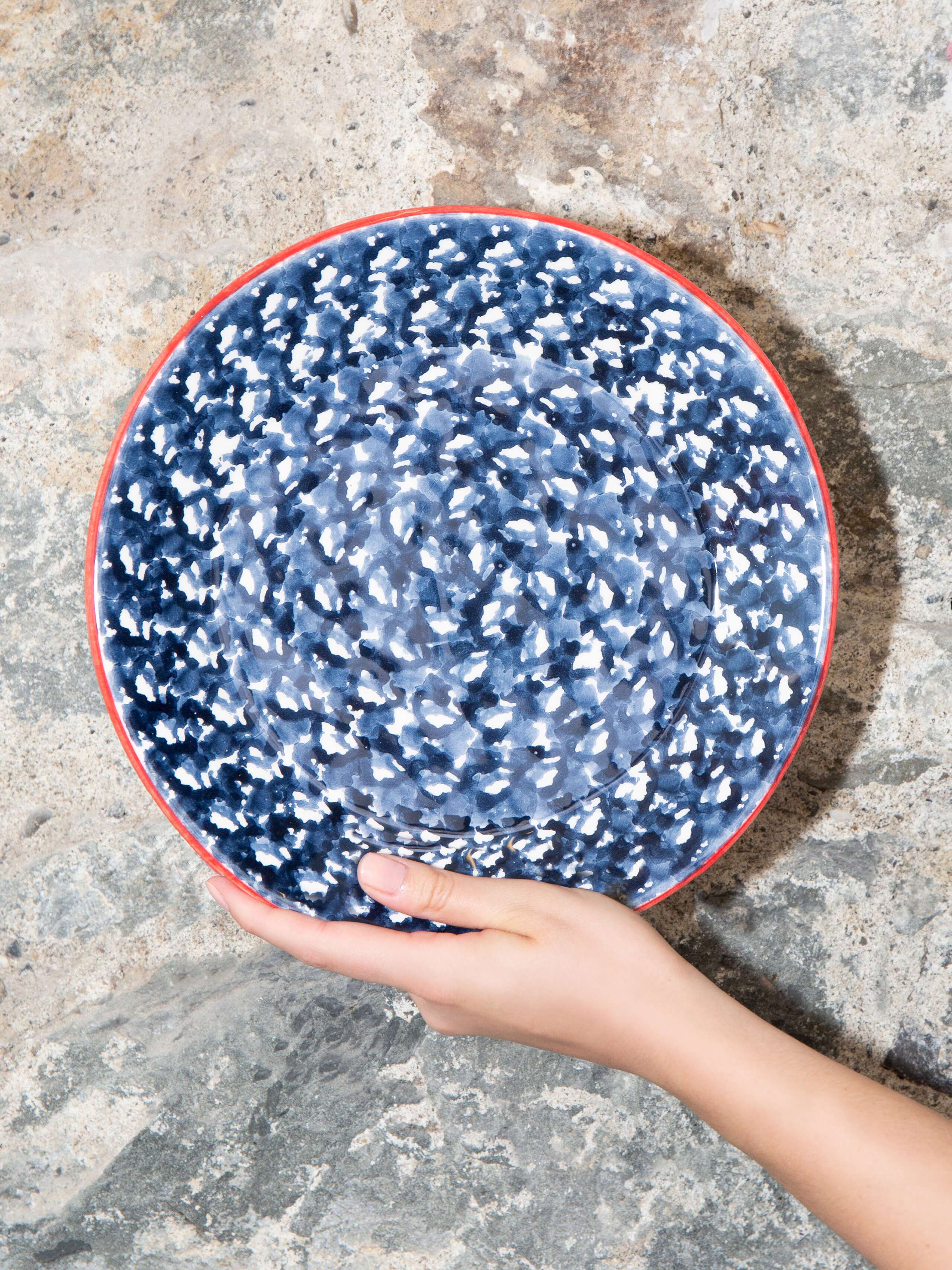 Spotted print dinner plate