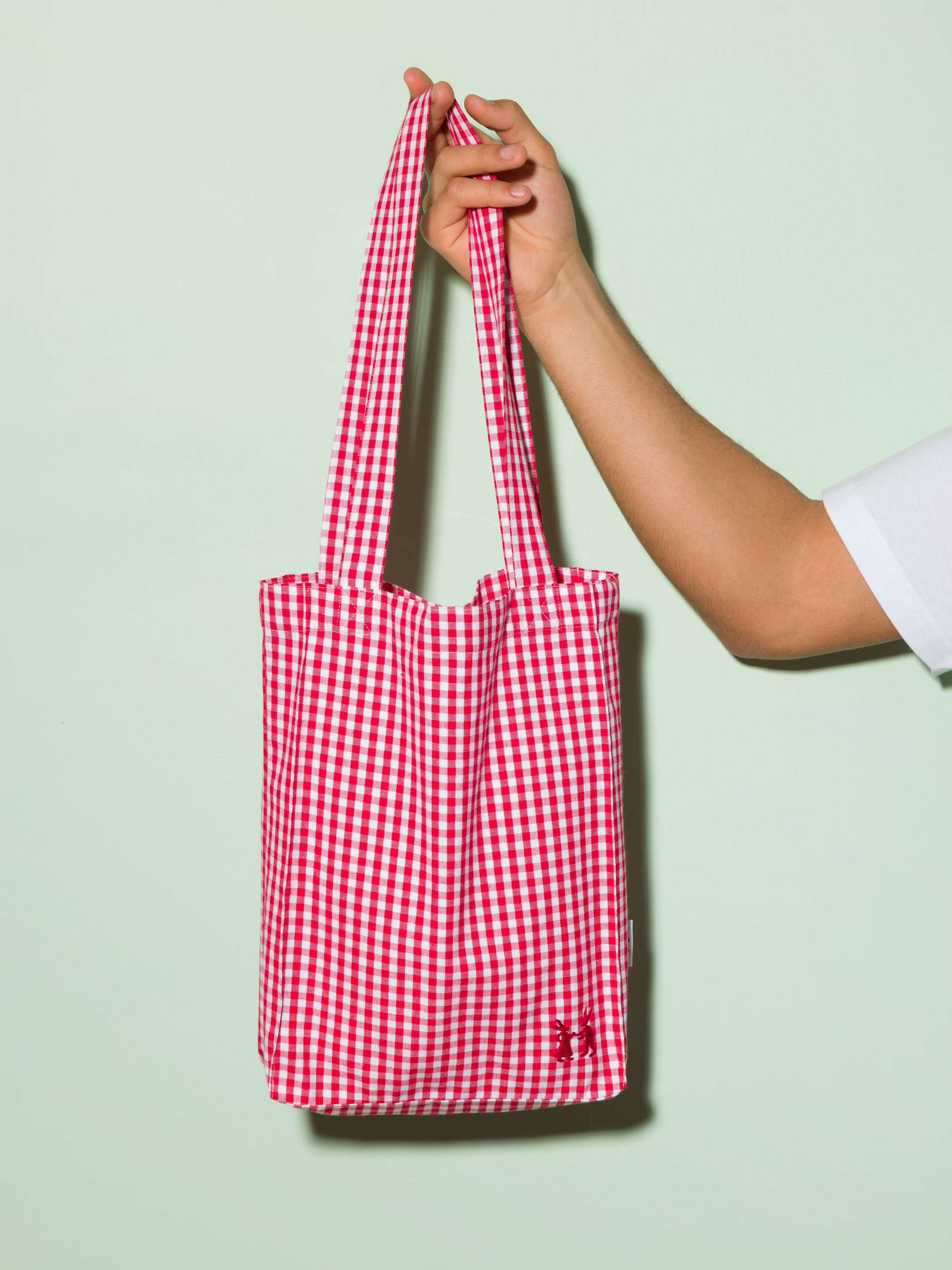 Picture of a hand holding a small tote bag made of cotton fabric featuring a red check pattern 