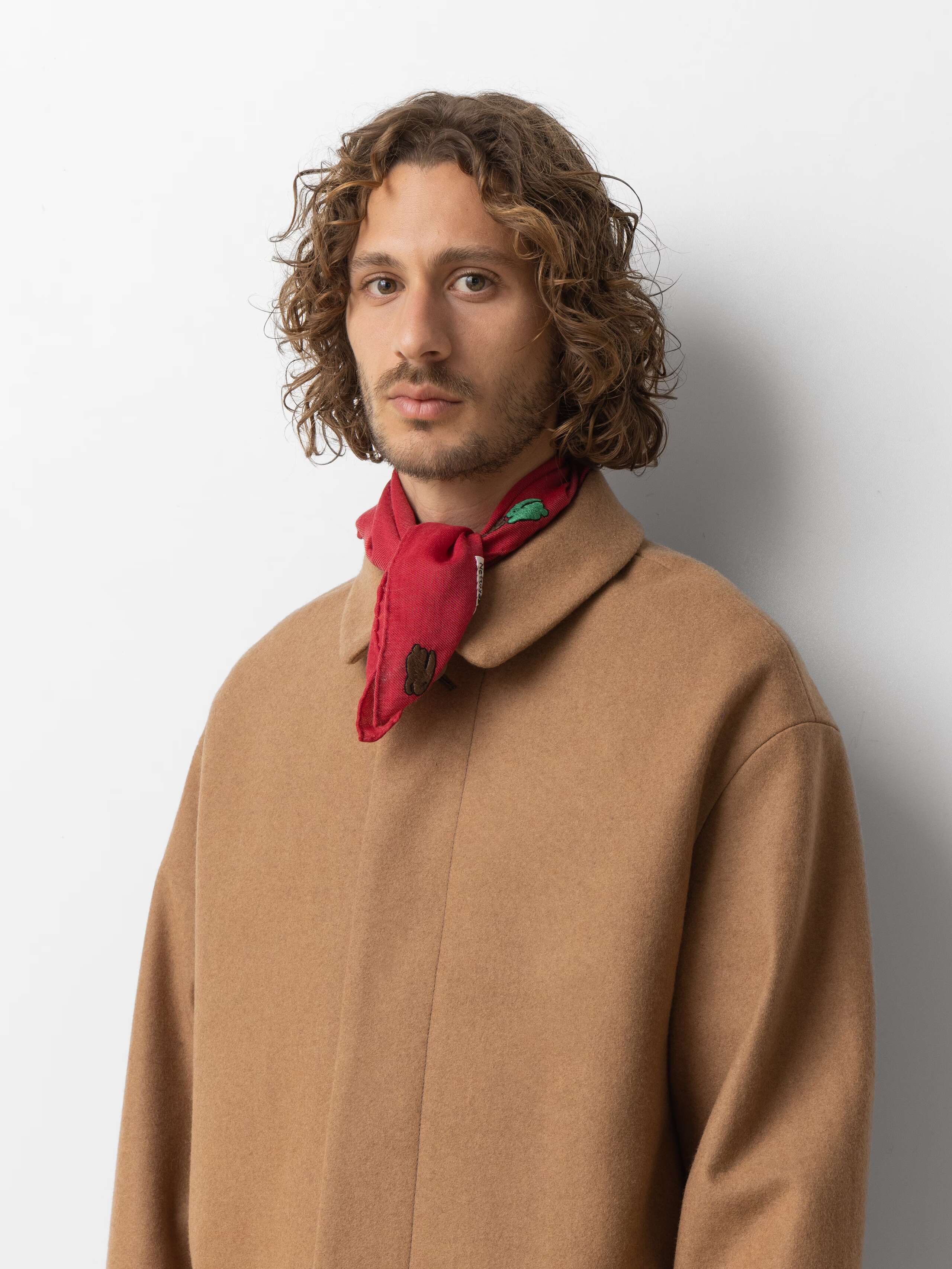 Picture of a male model wearing a winter coat in combination with a small wool foulard