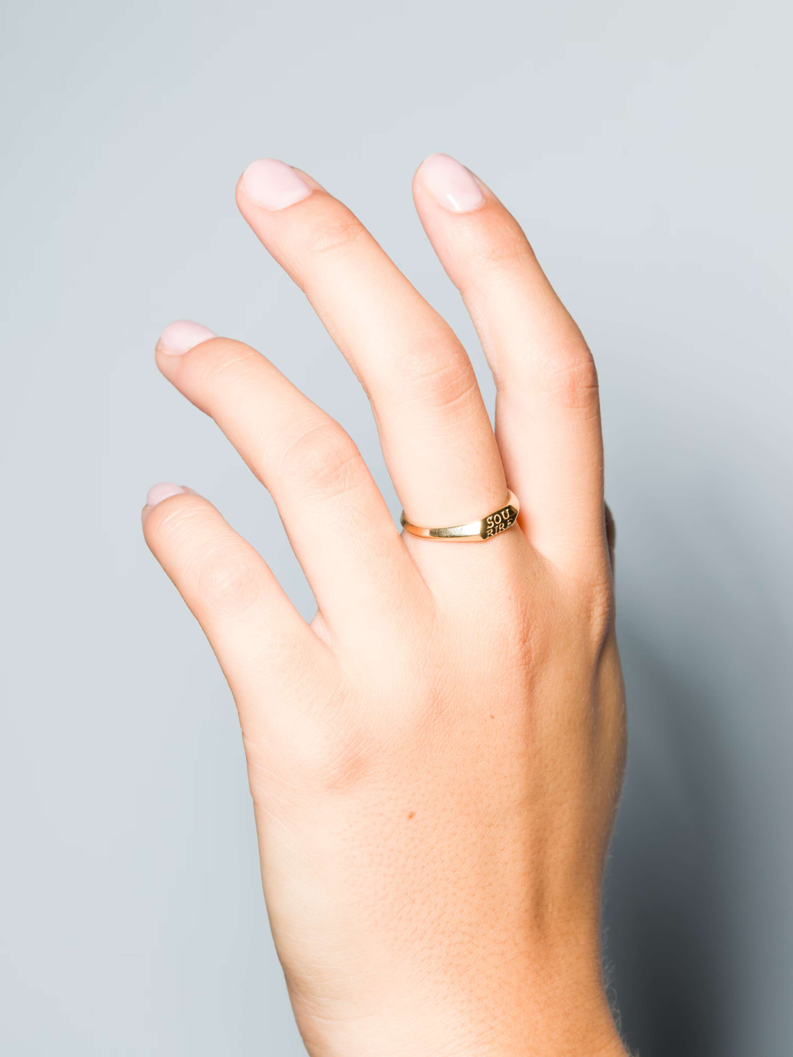 Small 9 karat gold signet ring called Ida on a set of hands
