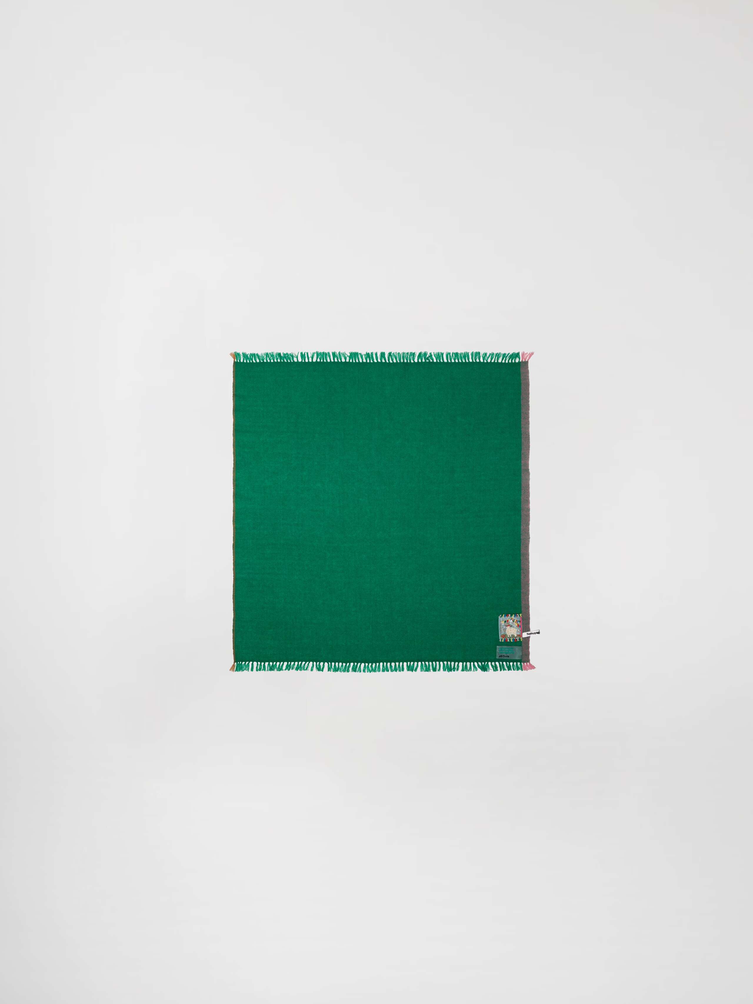 Blia mini stole cashmere in a tropical hug green colour