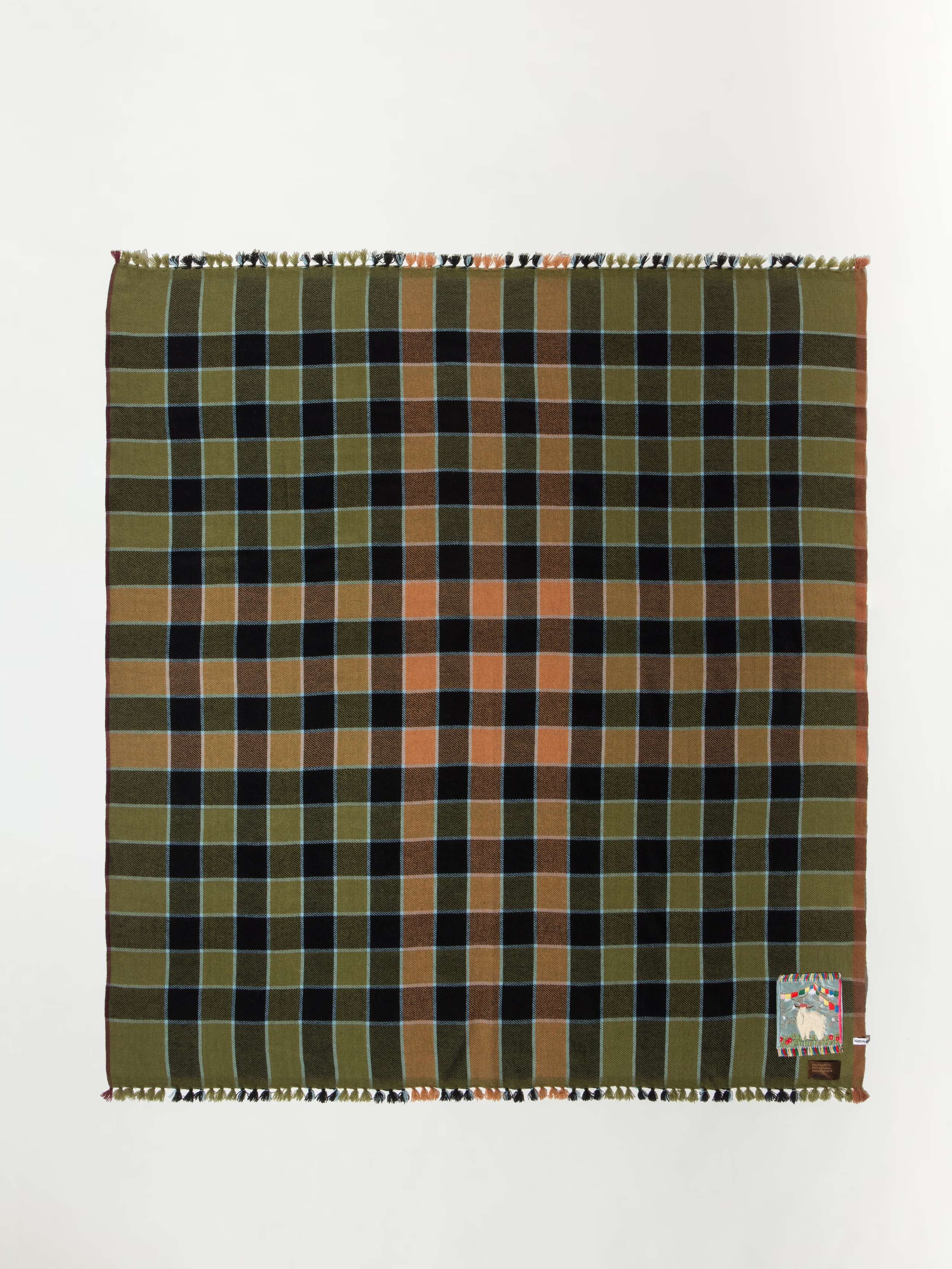 Picture of a checkered cashmere scarf