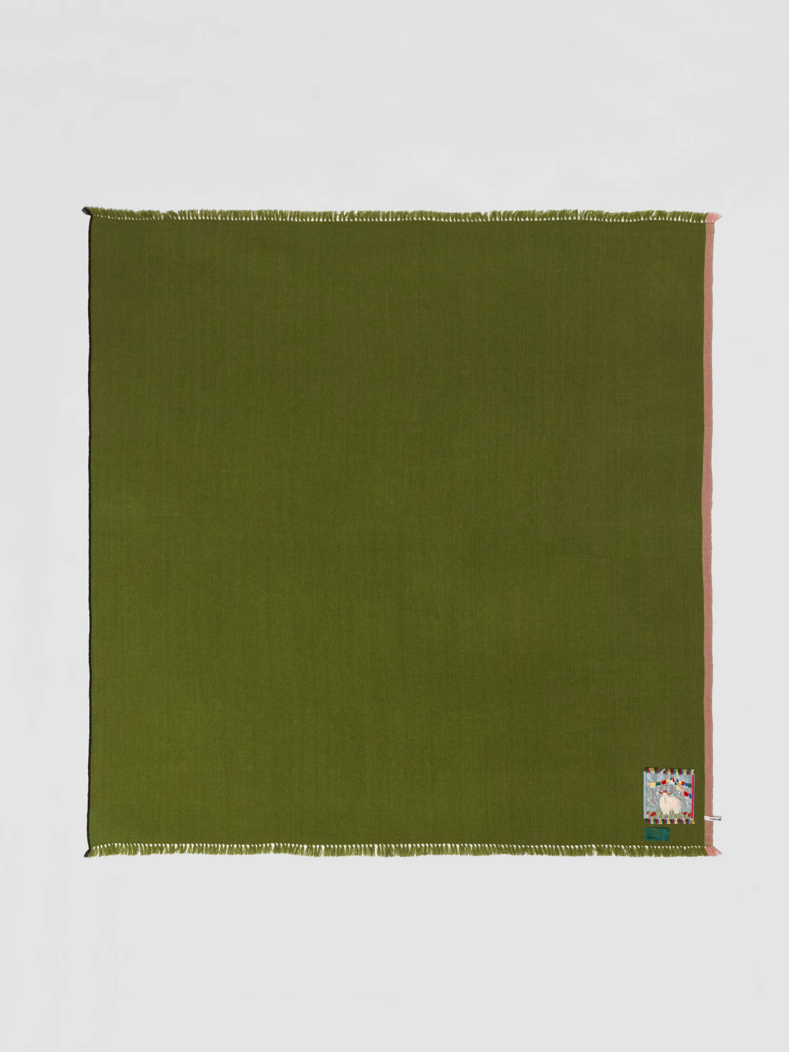 Picture of a green cashmere stole