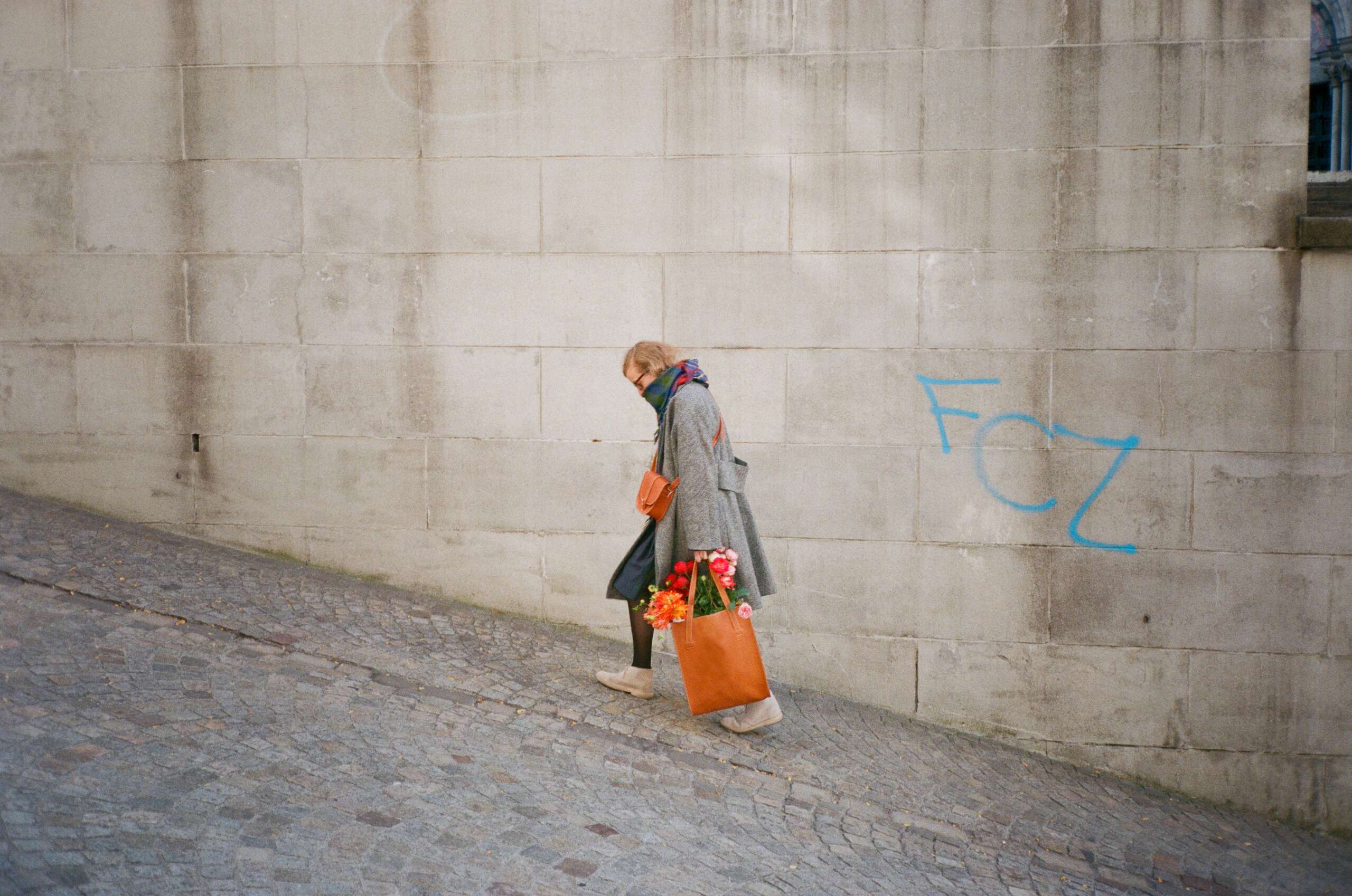 Autumn campaign 