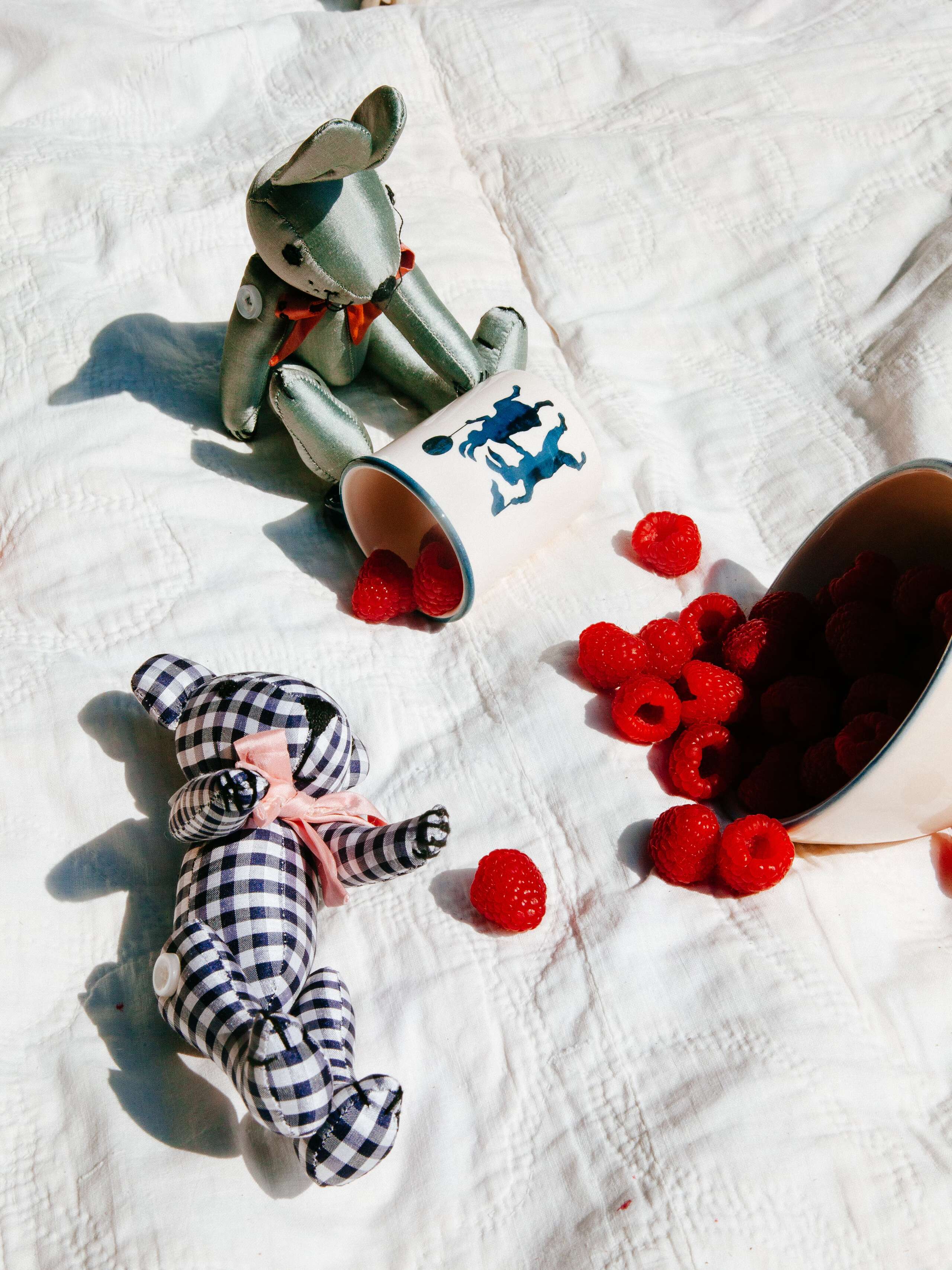 petit enSoie picnic