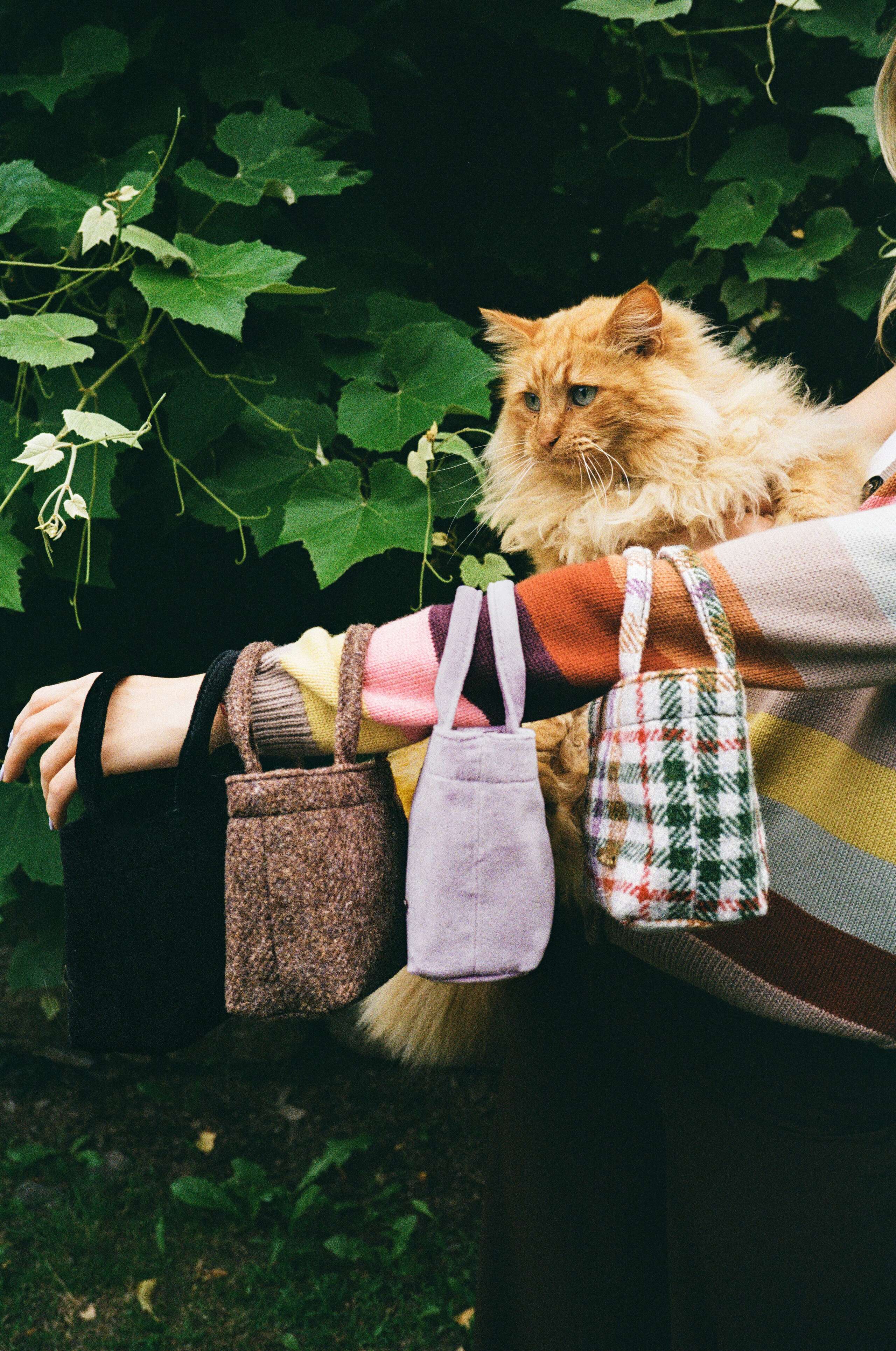 knitwear